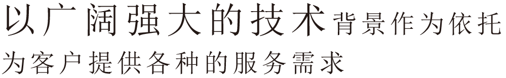 以广阔强大的技术背景作为依托，为客户提供各种的服务需求